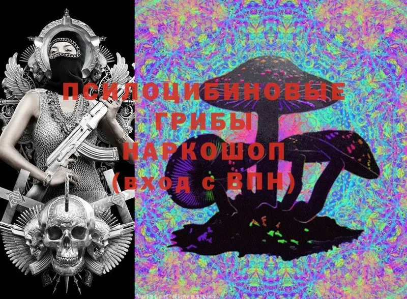 Псилоцибиновые грибы Magic Shrooms  Кировград 